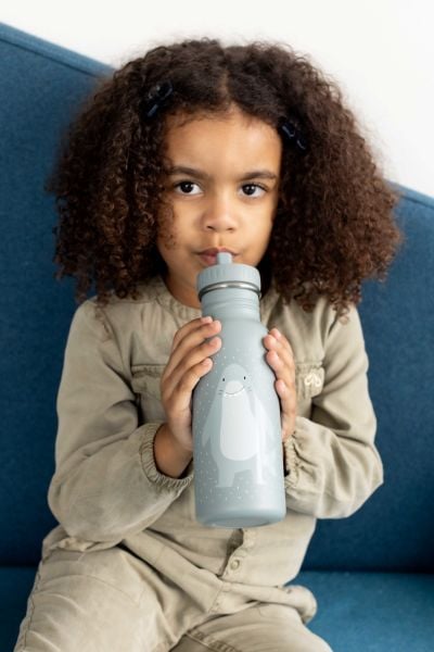 Trixie Paslanmaz Çelik Su Matarası (500 ml) - Mr. Shark