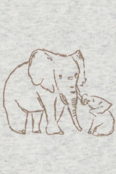 Bebek Uzun Kollu Tulum Set 2'li Paket - Carters 1R195210